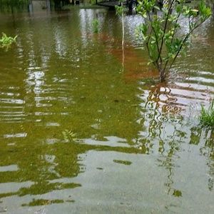 Meet your Posher, Paula